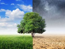 6 Metode Jaga Kesehatan di Musim Pancaroba