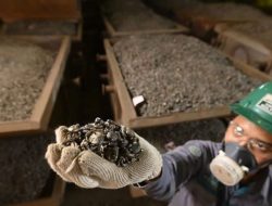 Software ERP Mining