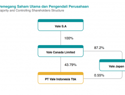 Saham Vale Indonesia