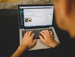 Penggunaan Situs WordPress