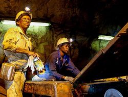 Saham Vale Indonesia