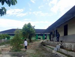 Panen Masalah Sekolah Bencana