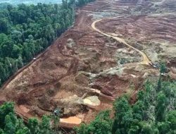 Hutan Terdesak Musabab Banjir