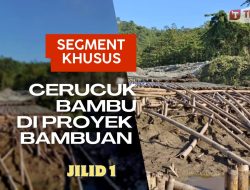 Bambuan