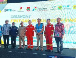PLTMG Luwuk 40 MW