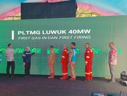 PLTMG Luwuk 40 MW