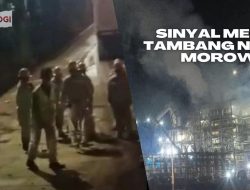 Nikel Morowali