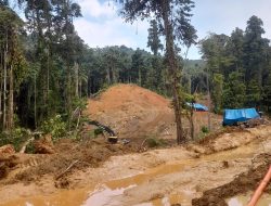 4 Penambang Emas Tewas Tertimbun Longsor di Poso