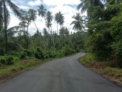 Ruas Jalan Nasional di Buol