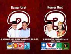 Peta Politik Pilkada Sigi 2024