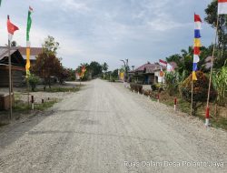 Infrastruktur Desa Polanto