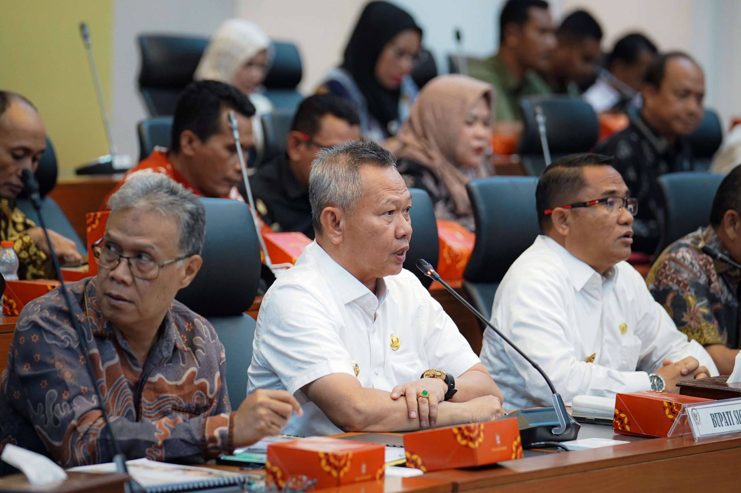 Proyek Strategis di Sigi