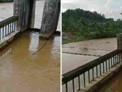Tambang Ilegal Lambunu