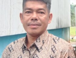 Kepala Desa Pulias
