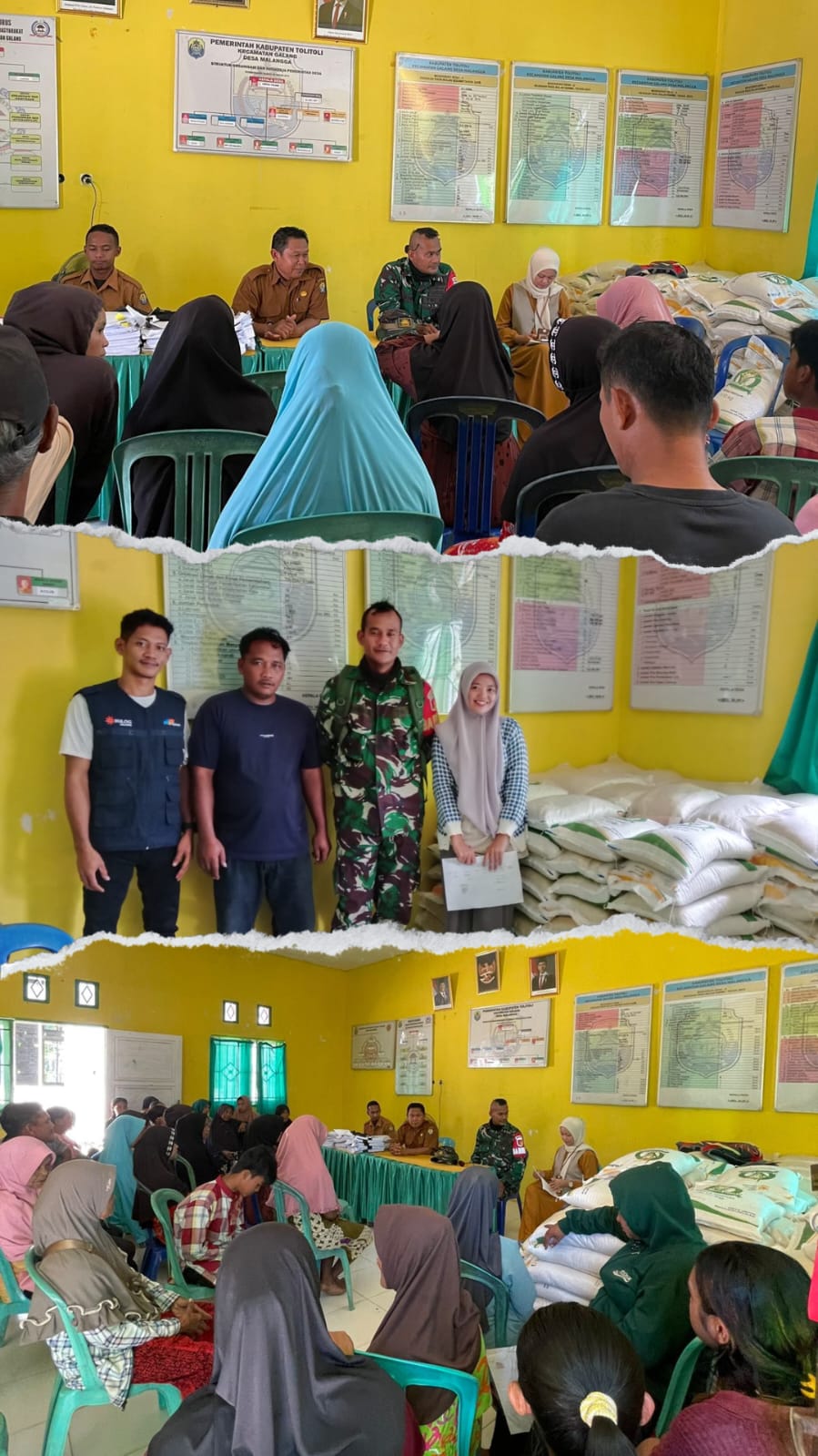 Bantuan beras pemerintah
