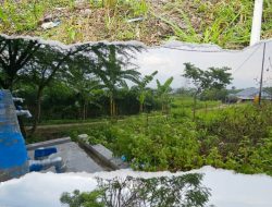 Proyek mangkrak sumur air tanah Bulupountu