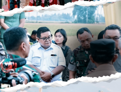 Panen raya padi di Desa Sibalaya Utara