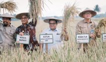 Panen Raya di Sigi