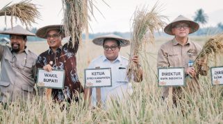 Panen Raya di Sigi