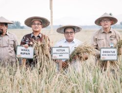 Panen Raya di Sigi