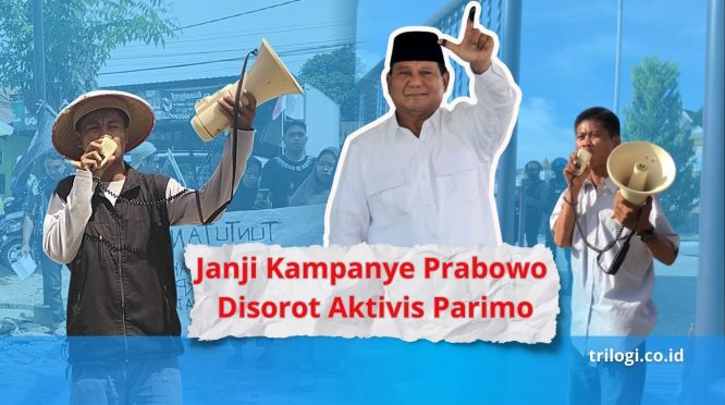 Evaluasi Satu Tahun Pemerintahan Prabowo