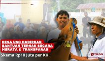 Bantuan Ternak Desa Uso