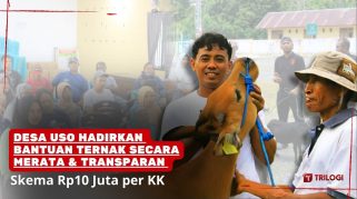Bantuan Ternak Desa Uso