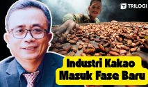 Industri Kakao