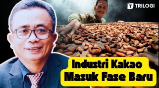 Industri Kakao