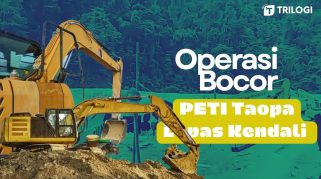 Tambang Ilegal Taopa