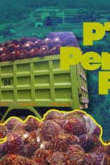 PT Kurnia Luwuk Sejati