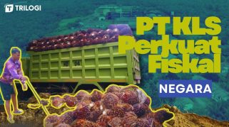 PT Kurnia Luwuk Sejati