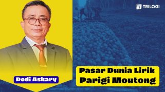 Ekonomi Parigi Moutong