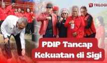 PDIP Sigi