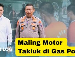 Maling Motor