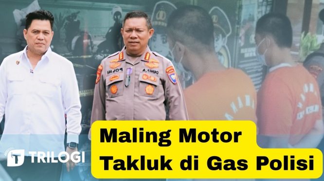 Maling Motor