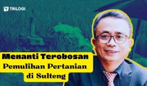 Pemulihan Pertanian di Sulteng