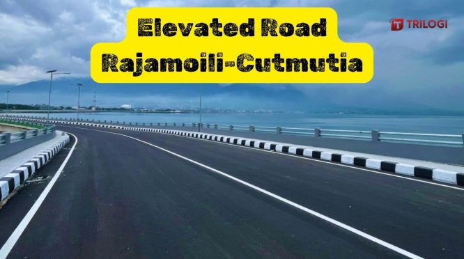 Jalan Layang Rajamoili Cut Mutia