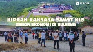 Kiprah PT Kurnia Luwuk Sejati di Sulawesi Tengah