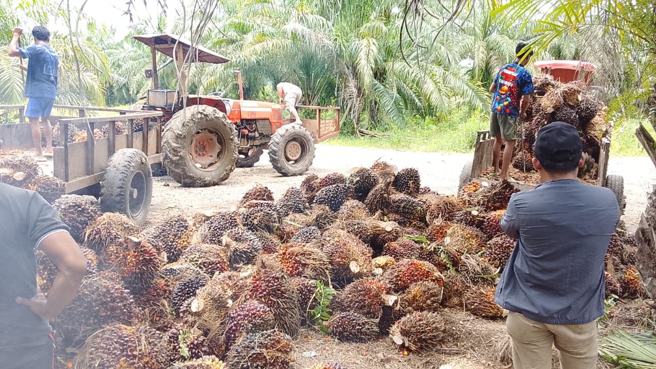 Klarifikasi PT Kurnia Luwuk Sejati