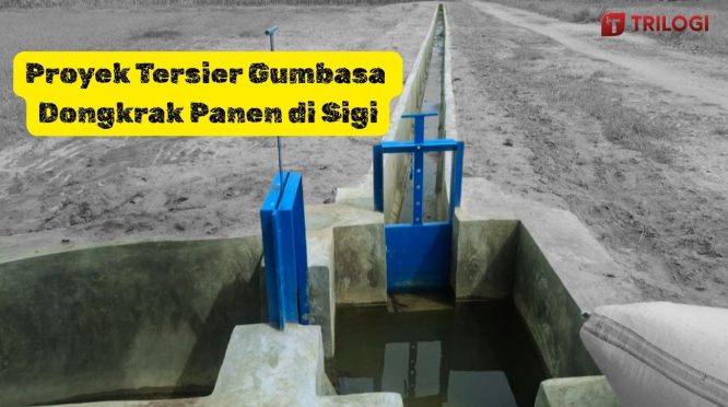 Irigasi Gumbasa Sigi