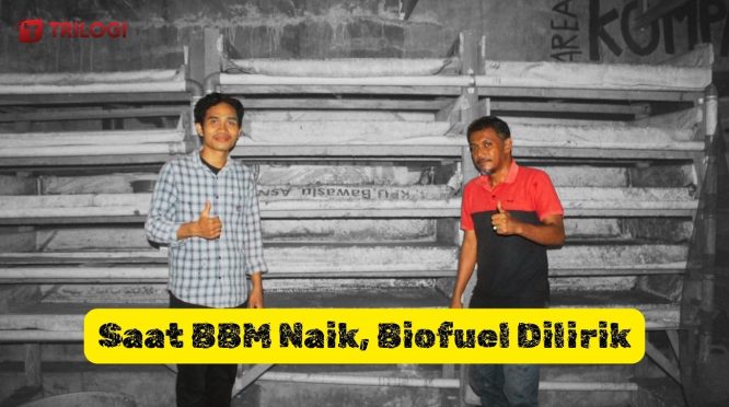 krisis energi Indonesia