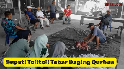 Bupati Tolitoli berbagi hewan qurban