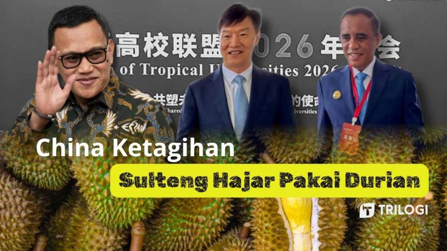 Durian Sulteng