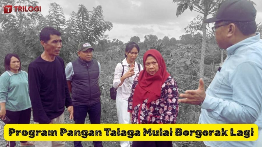 Renny Lamadjido Tinjau Lokasi KPN Talaga