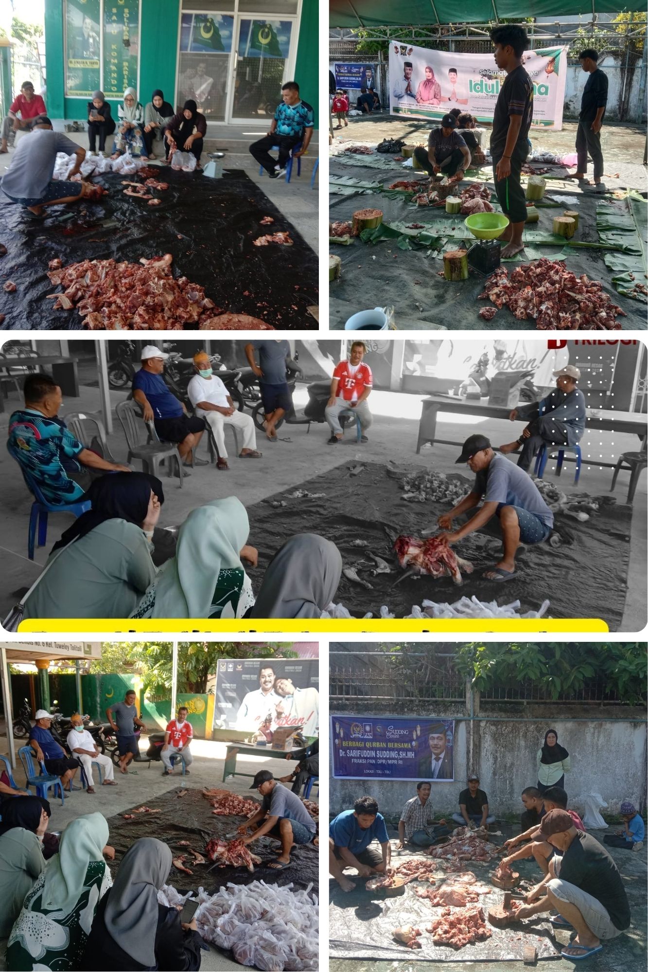 Bupati Tolitoli sembelih 11 ekor sapi