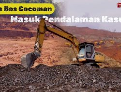 Jaringan Bisnis Aseng