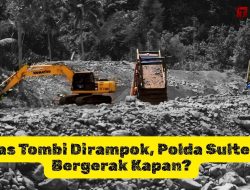Tambang Emas Ilegal Tombi