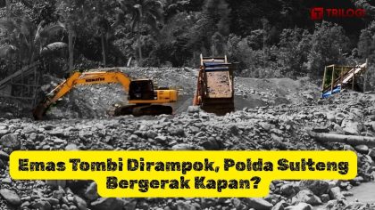 Tambang Emas Ilegal Tombi