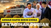 Ekspor Durian Sulteng